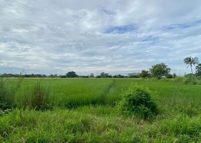 A nice plot for sale in Sankhampeang, Chiang Mai