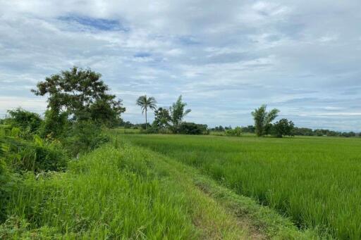 A nice plot for sale in Sankhampeang, Chiang Mai