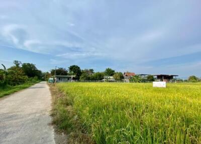 A nice plot of land for sell in Sankhampeang