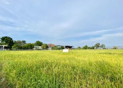 A nice plot of land for sell in Sankhampeang