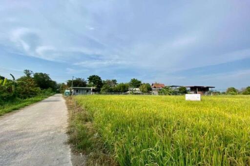 A nice plot of land for sell in Sankhampeang