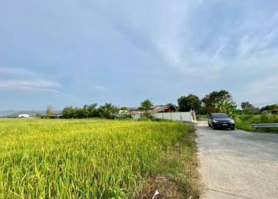 A nice plot of land for sell in Sankhampeang