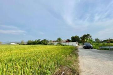 A nice plot of land for sell in Sankhampeang