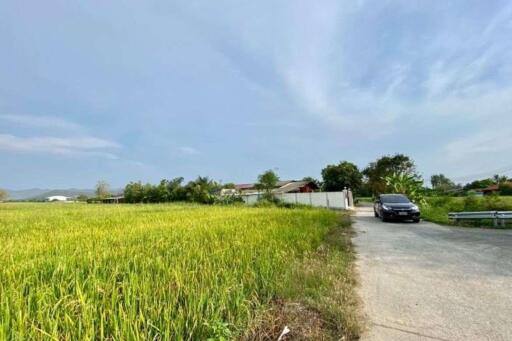 A nice plot of land for sell in Sankhampeang