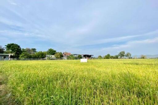 A nice plot of land for sell in Sankhampeang