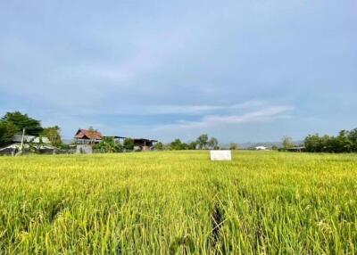 A nice plot of land for sell in Sankhampeang