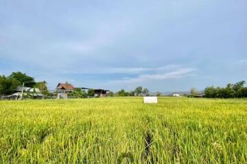 A nice plot of land for sell in Sankhampeang