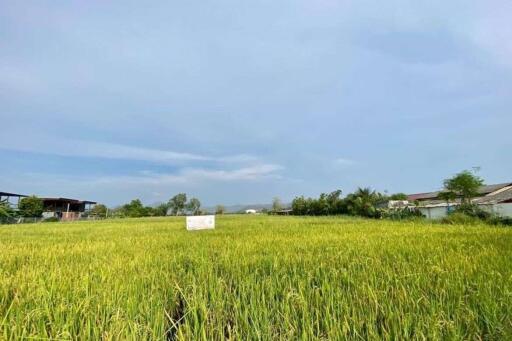 A nice plot of land for sell in Sankhampeang