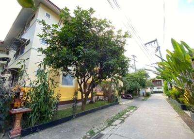 50 rooms apartment for sale in Muang Chiang Mai