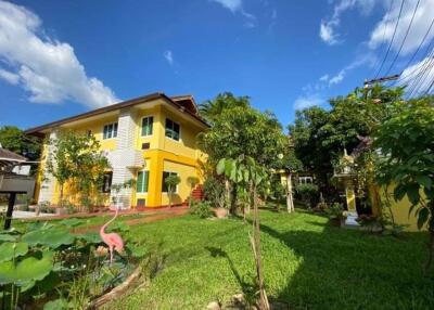 Unique touch guesthouse for sale in Muang Chiang Mai