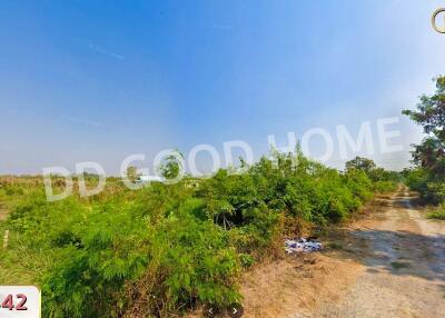 Open land with surrounding greenery