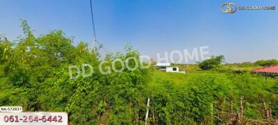 View of property with greenery and blue sky