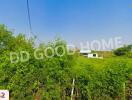 View of property with greenery and blue sky