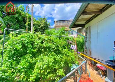 View of the backyard with greenery and a house in the background