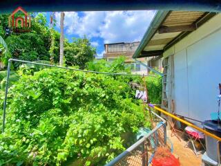 View of the backyard with greenery and a house in the background