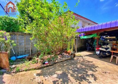 Sunny backyard with plants and a garage