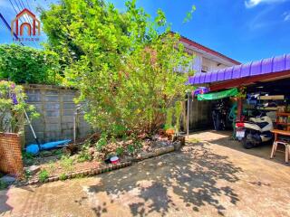 Sunny backyard with plants and a garage