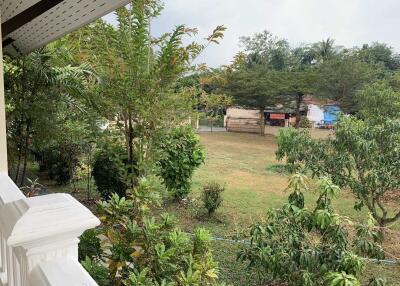 View of a garden with trees and greenery