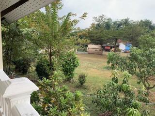 View of a garden with trees and greenery