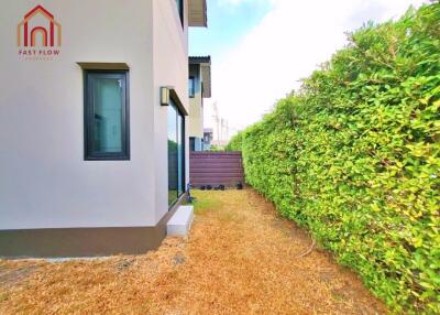 Side garden view with green hedge and modern house