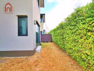 Side garden view with green hedge and modern house