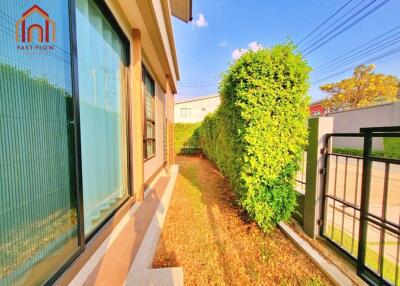 Side garden area with well-maintained shrubs and grass