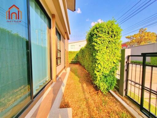 Side garden area with well-maintained shrubs and grass