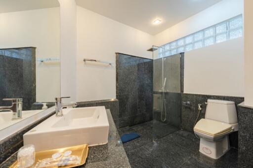 Modern bathroom with walk-in shower and toilet