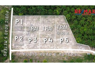 800 Sqm. Land listed for ฿ 900,000.