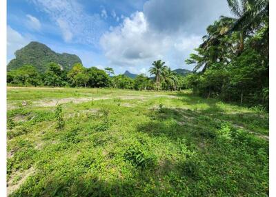 Vacant Land for Sale with Stunning Mountain Views!