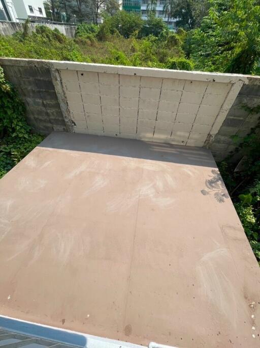 Unfinished outdoor space with concrete flooring and surrounding greenery