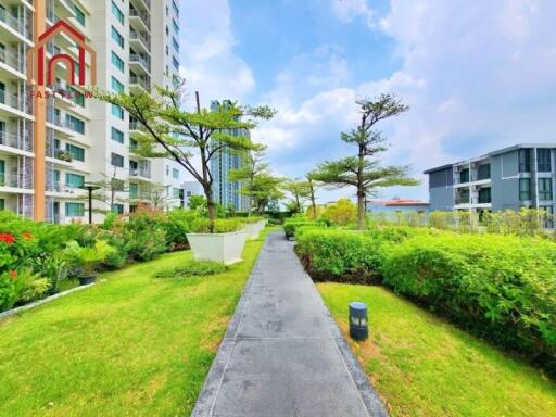 Pathway between residential buildings with greenery