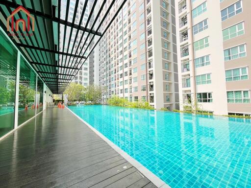 Swimming pool in a residential complex with adjacent modern buildings