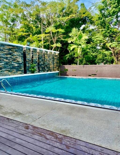 Outdoor swimming pool with lush greenery