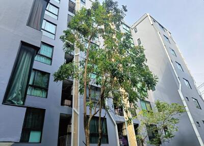 Exterior view of a modern multi-story residential building with trees