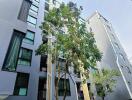 Exterior view of a modern multi-story residential building with trees