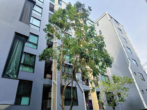 Exterior view of a modern multi-story residential building with trees