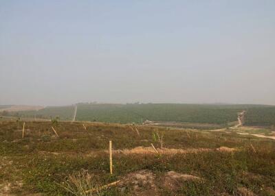 Open land with sparse vegetation and distant forested area