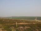 Open land with sparse vegetation and distant forested area