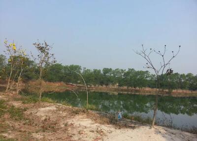 Scenic view of a pond with surrounding greenery