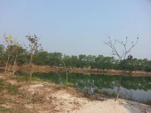 Scenic view of a pond with surrounding greenery