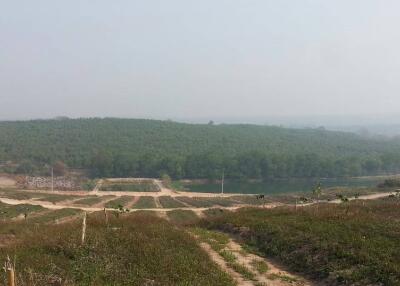 View of undeveloped land with greenery and pathways