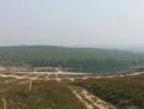 View of undeveloped land with greenery and pathways