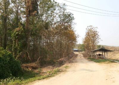 Dirt road leading to a house