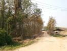 Dirt road leading to a house