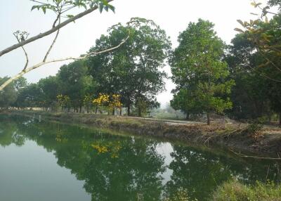 Scenic view of a tranquil pond surrounded by trees