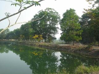 Scenic view of a tranquil pond surrounded by trees