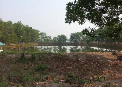 Scenic pond with surrounding greenery