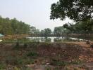 Scenic pond with surrounding greenery