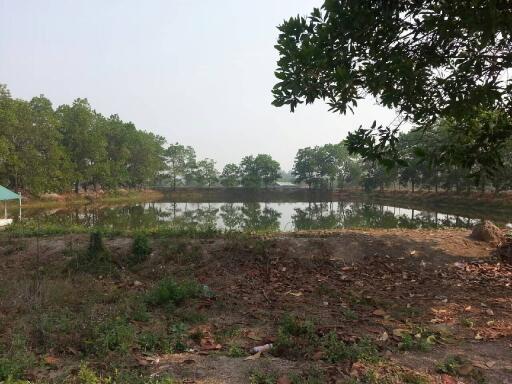 Scenic pond with surrounding greenery